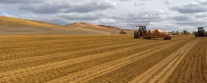 Projeto e execução de terraplenagem